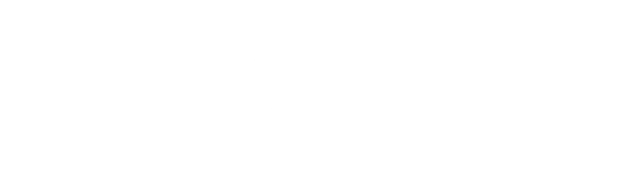 CX signature, thin — white