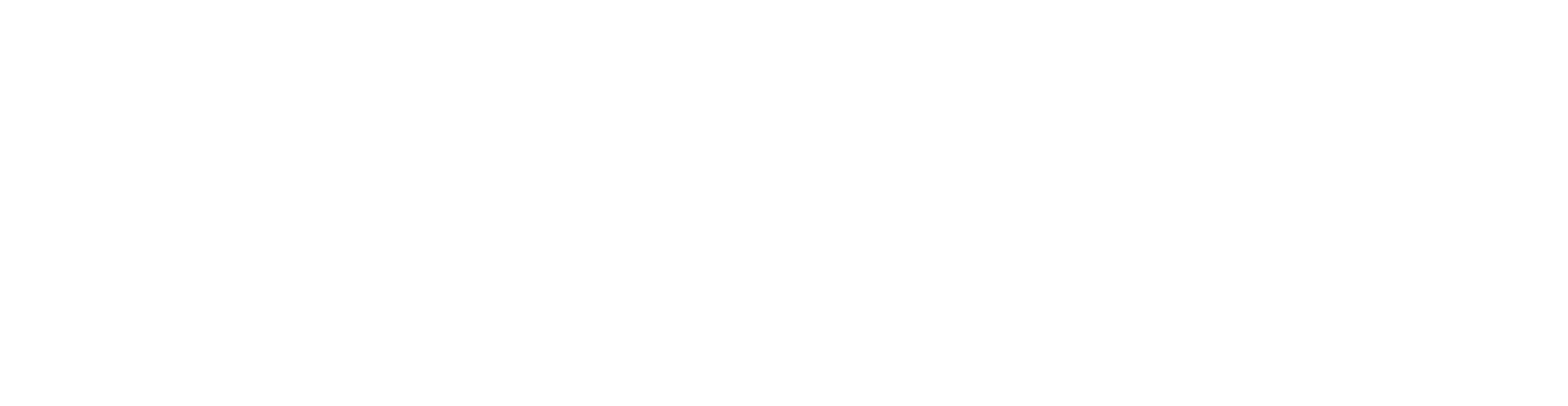 CX signature — white