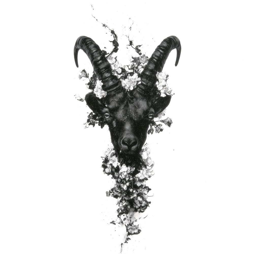 capricorn — key art